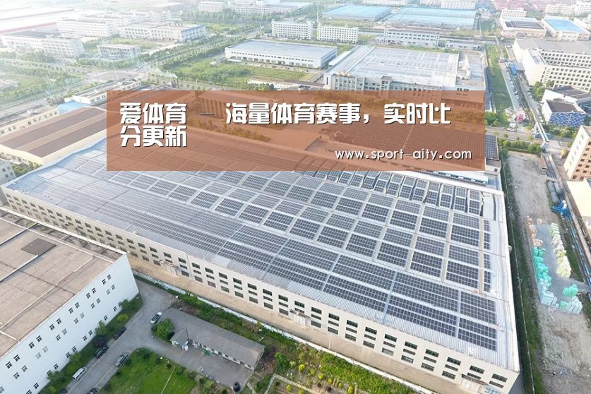 案例展示二
