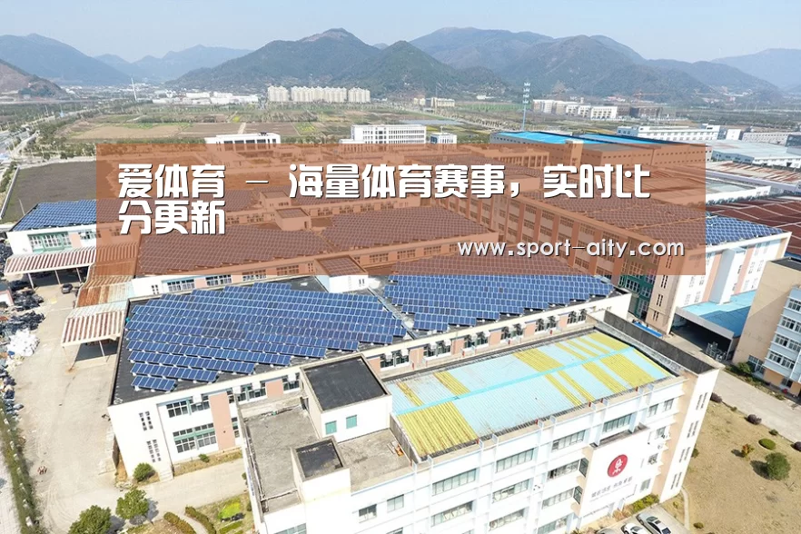 案例展示四