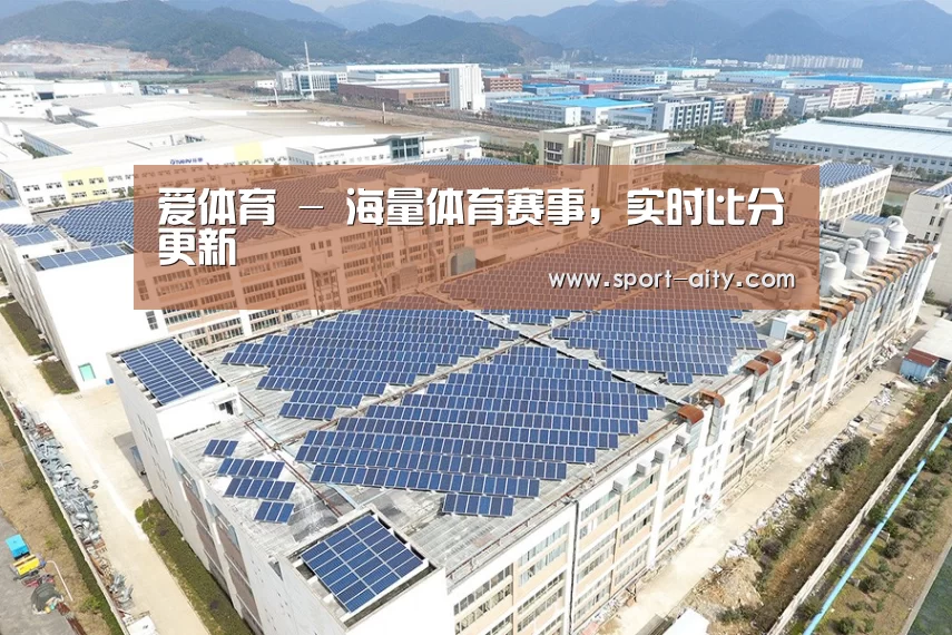 案例展示四