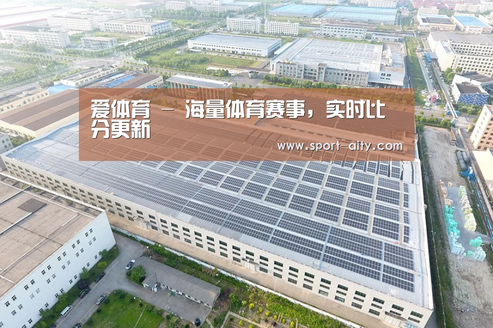 案例展示三