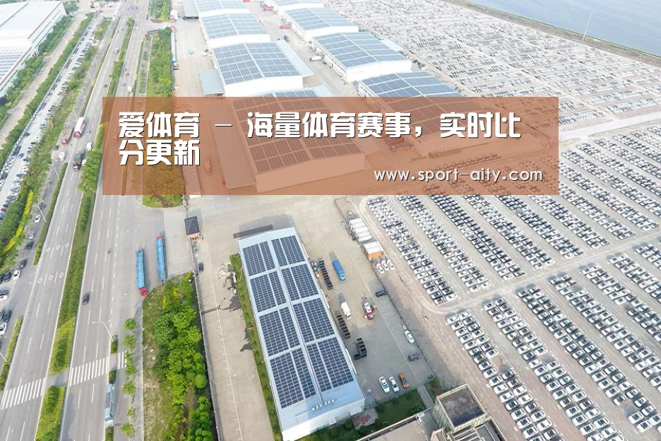 案例展示一