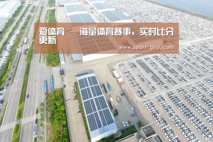 案例展示四