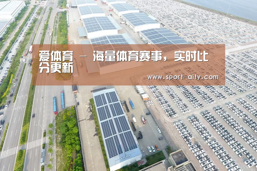 案例展示三